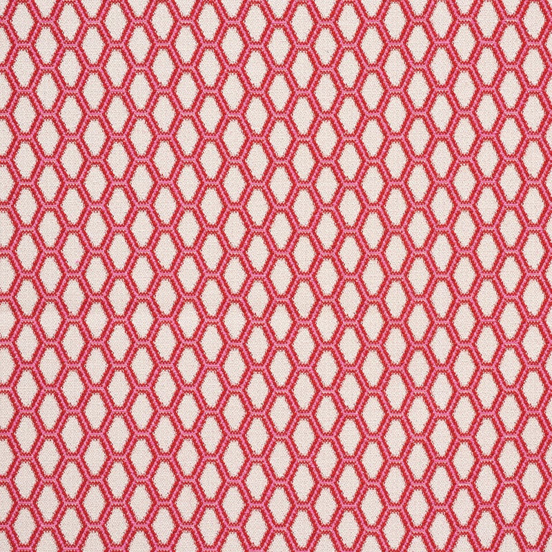 Buy 73421 Beehive Valentine by Schumacher Fabric