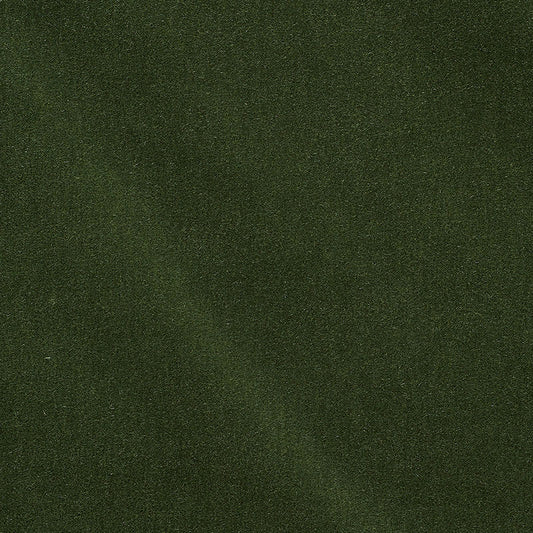 Buy 74501 San Carlo Mohair Velvet Hedge by Schumacher Fabric