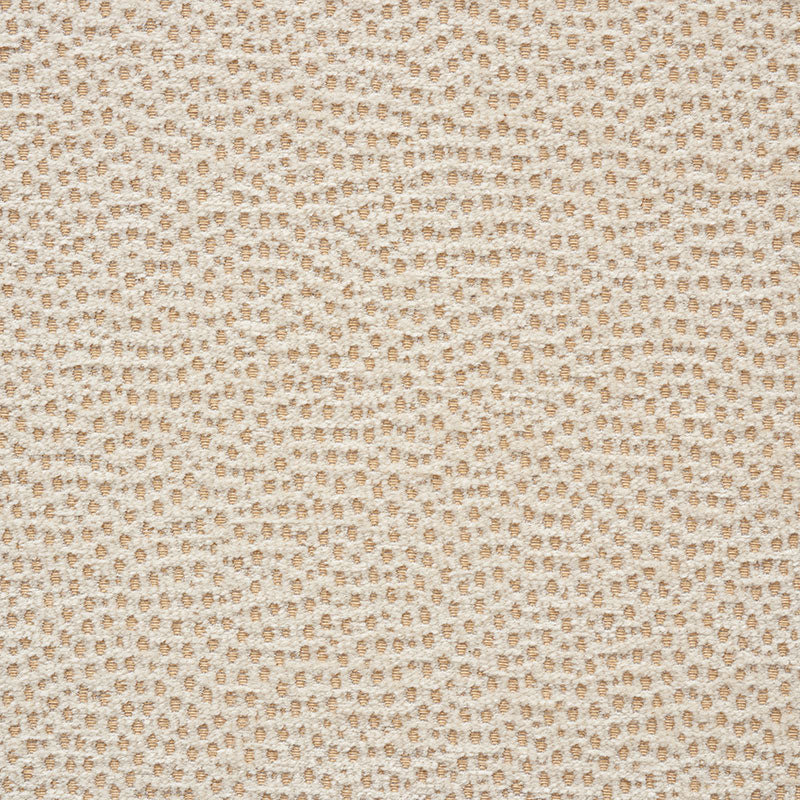 Buy 75200 Stingray Champagne by Schumacher Fabric