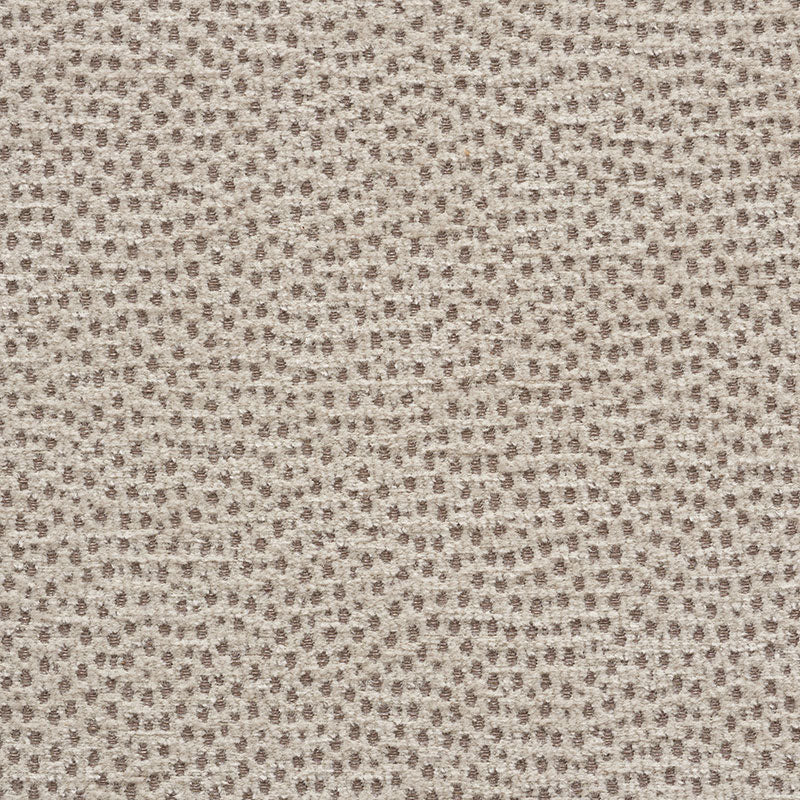 Find 75202 Stingray Zinc by Schumacher Fabric