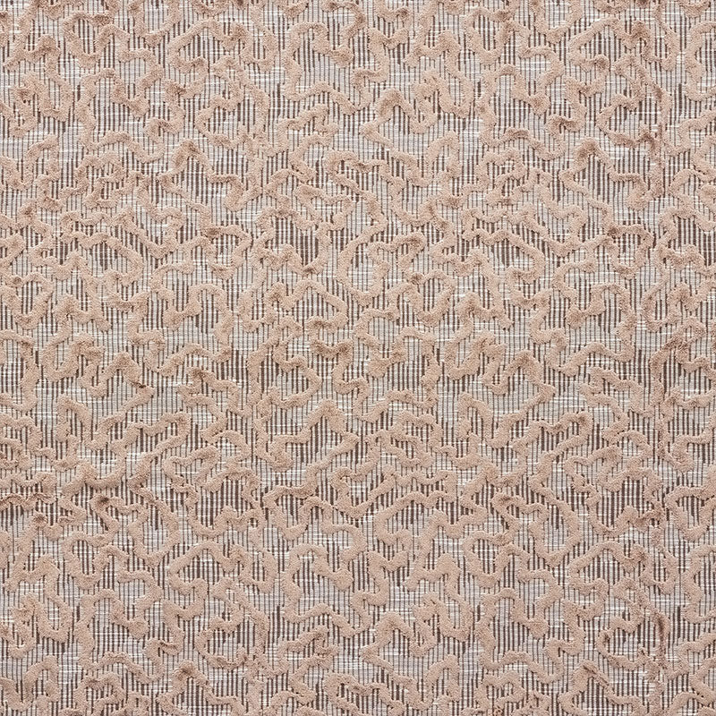 View 75221 Janis Velvet Brown by Schumacher Fabric