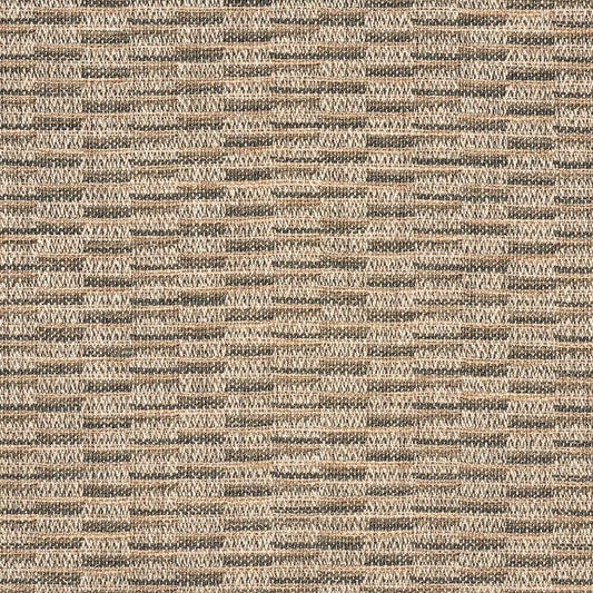 Buy 75841 Olmeda Performance Charcoal by Schumacher Fabric