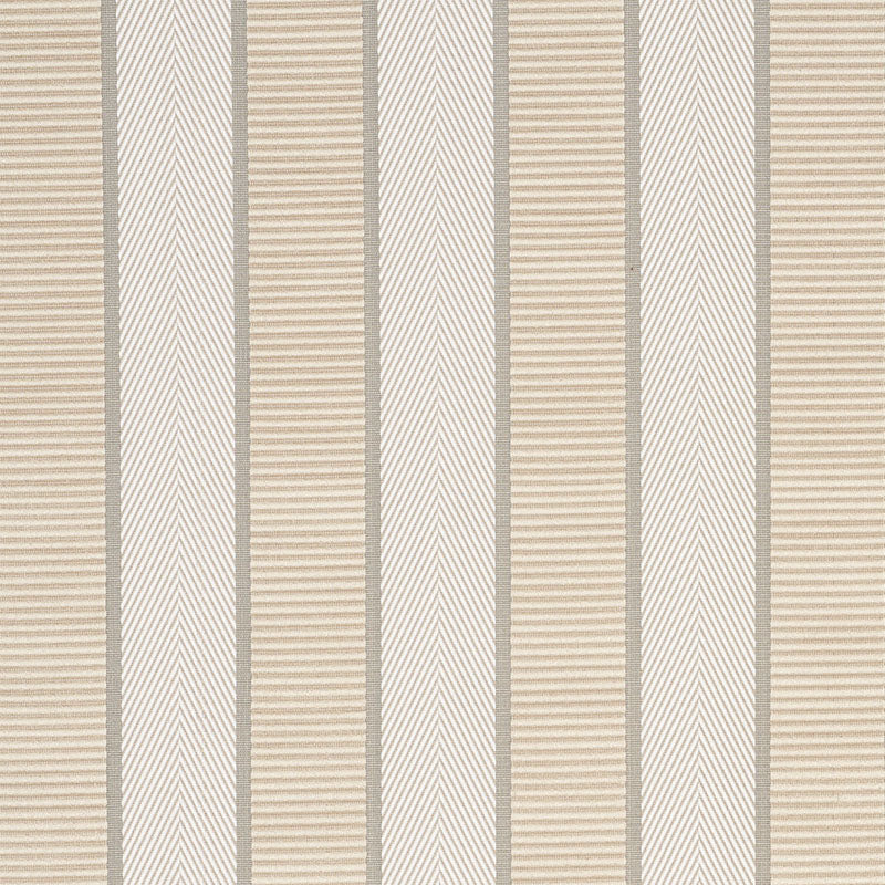 Buy 77101 Ribbon Stripe Champagne by Schumacher Fabric