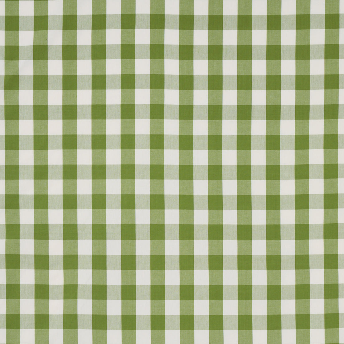 Purchase 77322 Camden Cotton Check, Leaf by Schumacher Fabric