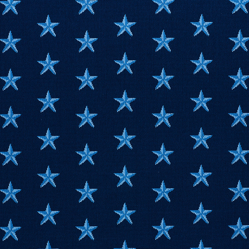 Shop 77421 Star Epingle Blue by Schumacher Fabric