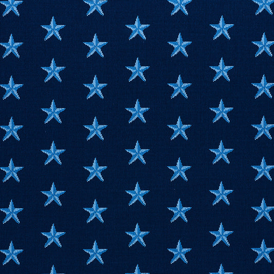Shop 77421 Star Epingle Blue by Schumacher Fabric