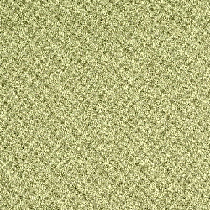 Shop 77810 Albert Performance Cotton Green by Schumacher Fabric
