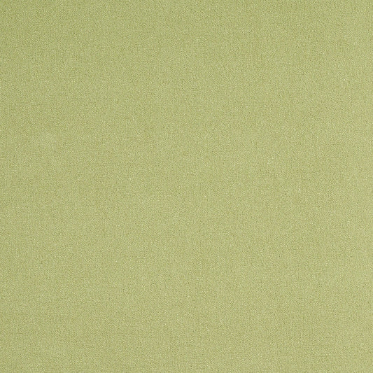 Shop 77810 Albert Performance Cotton Green by Schumacher Fabric
