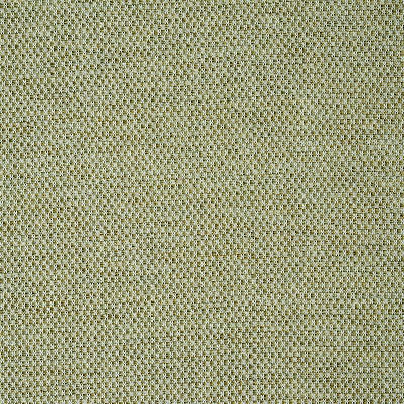 Acquire 78933 Momo Hand Woven Texture Fern by Schumacher Fabric