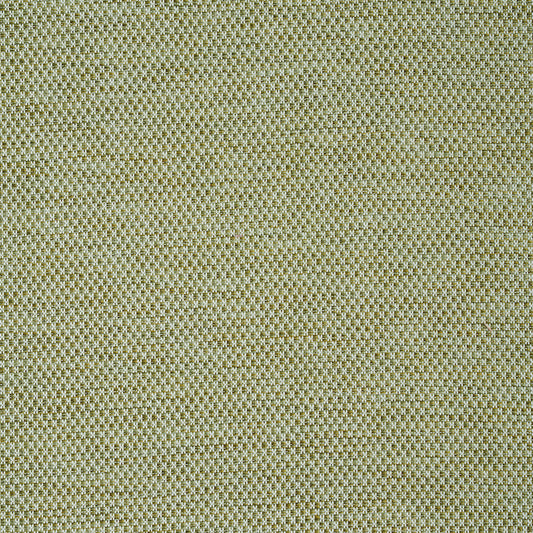 Acquire 78933 Momo Hand Woven Texture Fern by Schumacher Fabric