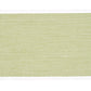 Purchase 79384 | Sandpiper Tape Wide, Green - Schumacher Trim