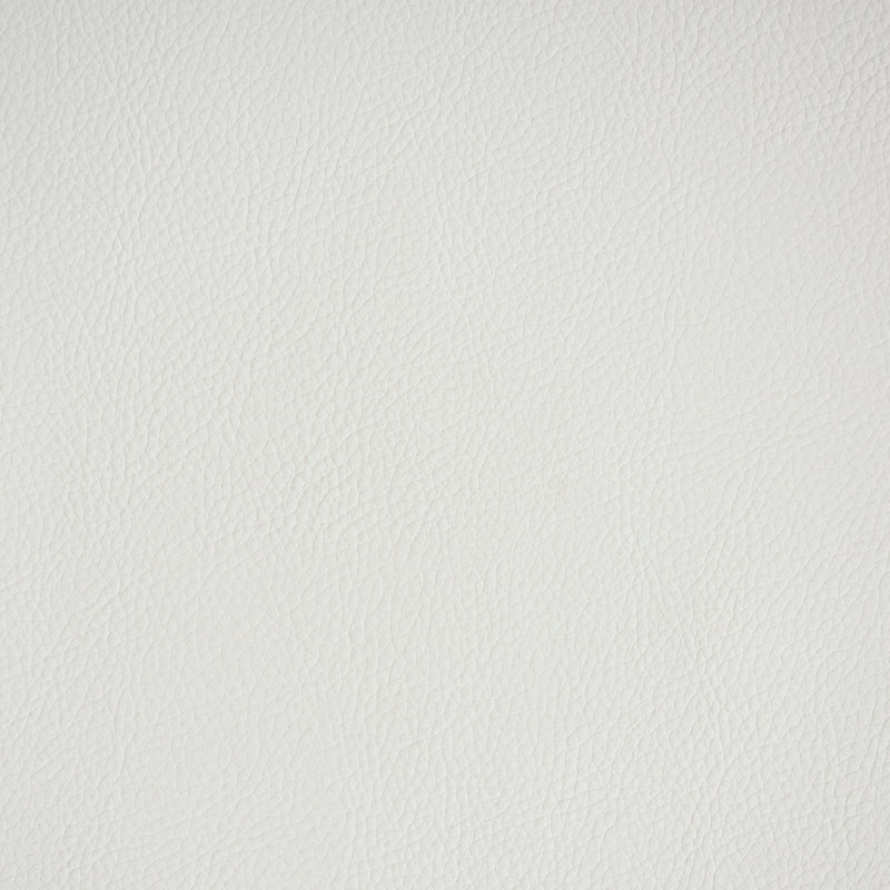 Buy 79551 Indoor/Outdoor Vegan Leather Ivory by Schumacher Fabric