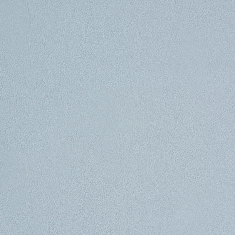 View 79556 Indoor/Outdoor Vegan Leather Fog by Schumacher Fabric