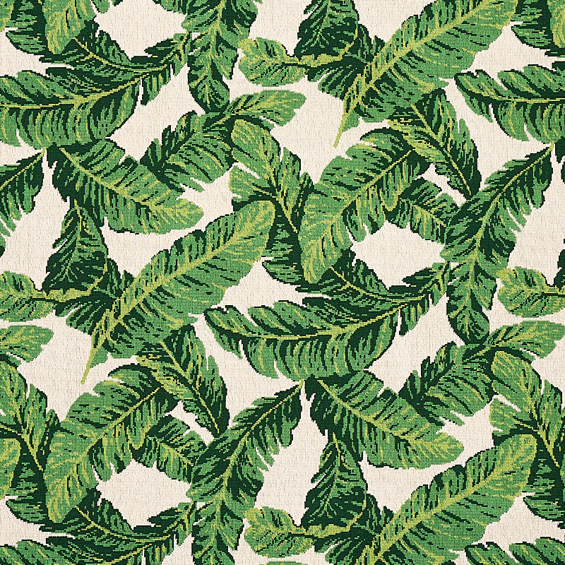 Purchase 80090 Tropical Leaf Epingle Green and Ivory by Schumacher Fabric