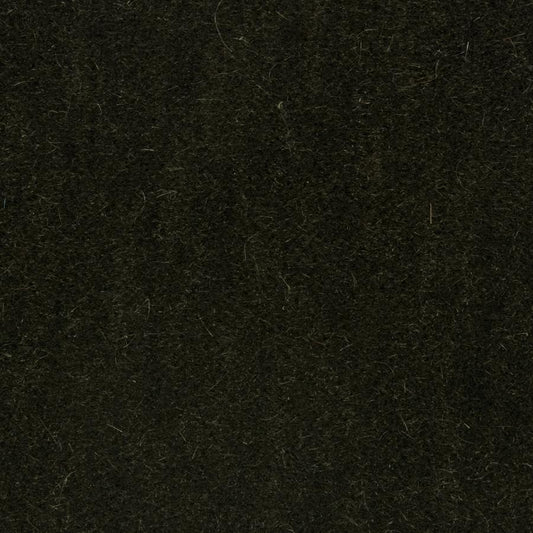 Buy 8014101-30 Bachelor Mohair Thyme Solid by Brunschwig & Fils Fabric