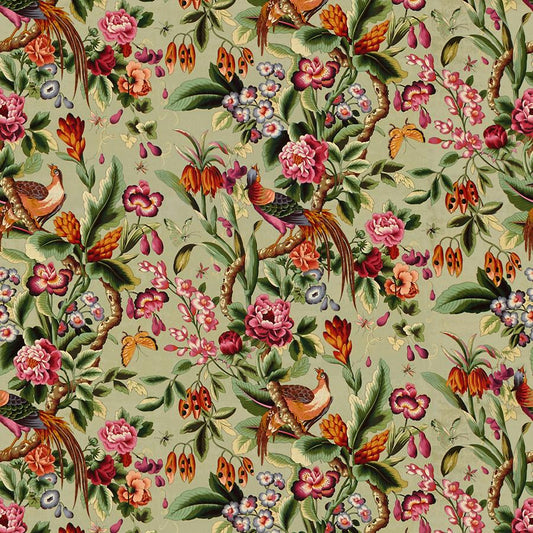 Buy 8015130-1611 Pheasans Sable Botanical by Brunschwig & Fils Fabric