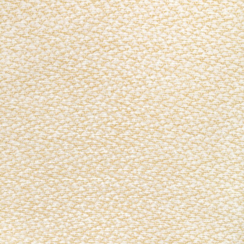 Purchase 8022122.1116.0 Sasson Texture, Chambery Textures Iii - Brunschwig & Fils Fabric