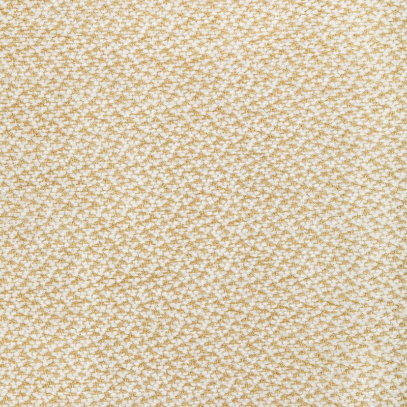 Purchase 8022122.4.0 Sasson Texture, Chambery Textures Iii - Brunschwig & Fils Fabric