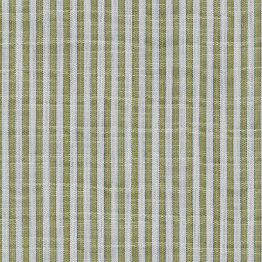 Purchase 8026122.3.0 Vesonne Stripe, Leaf - Brunschwig & Fils Fabric