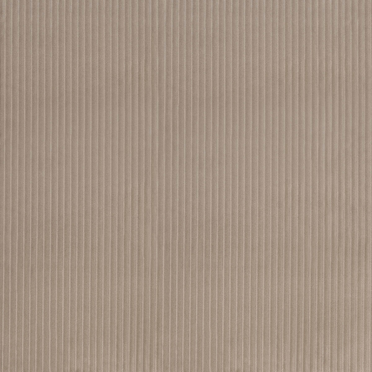 Purchase 80459 | Wyatt Corduroy, Sandstone - Schumacher Fabric