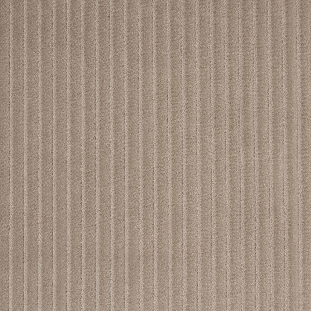 Purchase 80459 | Wyatt Corduroy, Sandstone - Schumacher Fabric