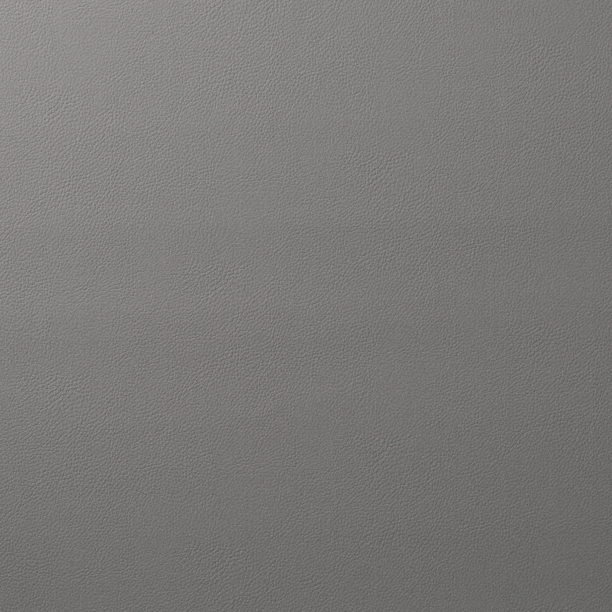 Purchase 80903 Indoor/Outdoor Vegan Leather Platinum by Schumacher Fabric