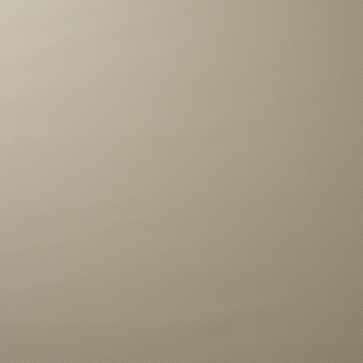 Shop 80904 Indoor/Outdoor Vegan Leather Pewter by Schumacher Fabric