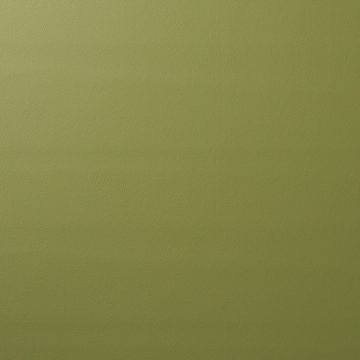 Order 80907 Indoor/Outdoor Vegan Leather Moss by Schumacher Fabric