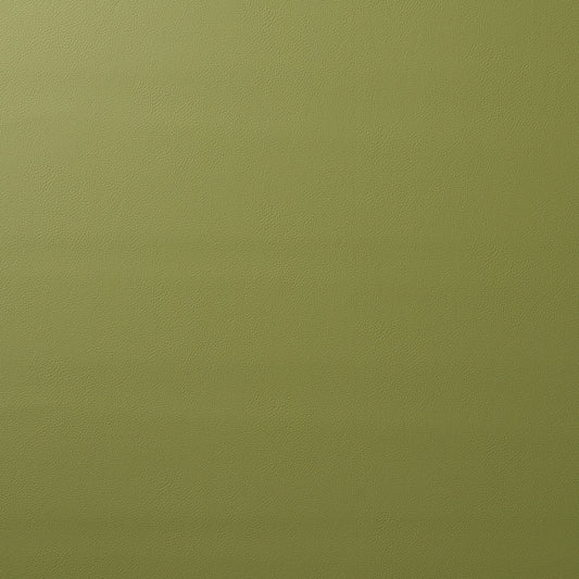 Order 80907 Indoor/Outdoor Vegan Leather Moss by Schumacher Fabric