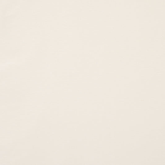 Find 80910 Legere Linen Silk Ivory by Schumacher Fabric