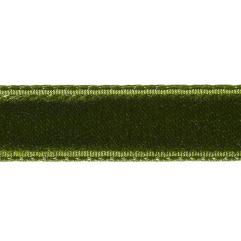 Purchase 80925 | Velvet Tape Narrow, Moss - Schumacher Trim