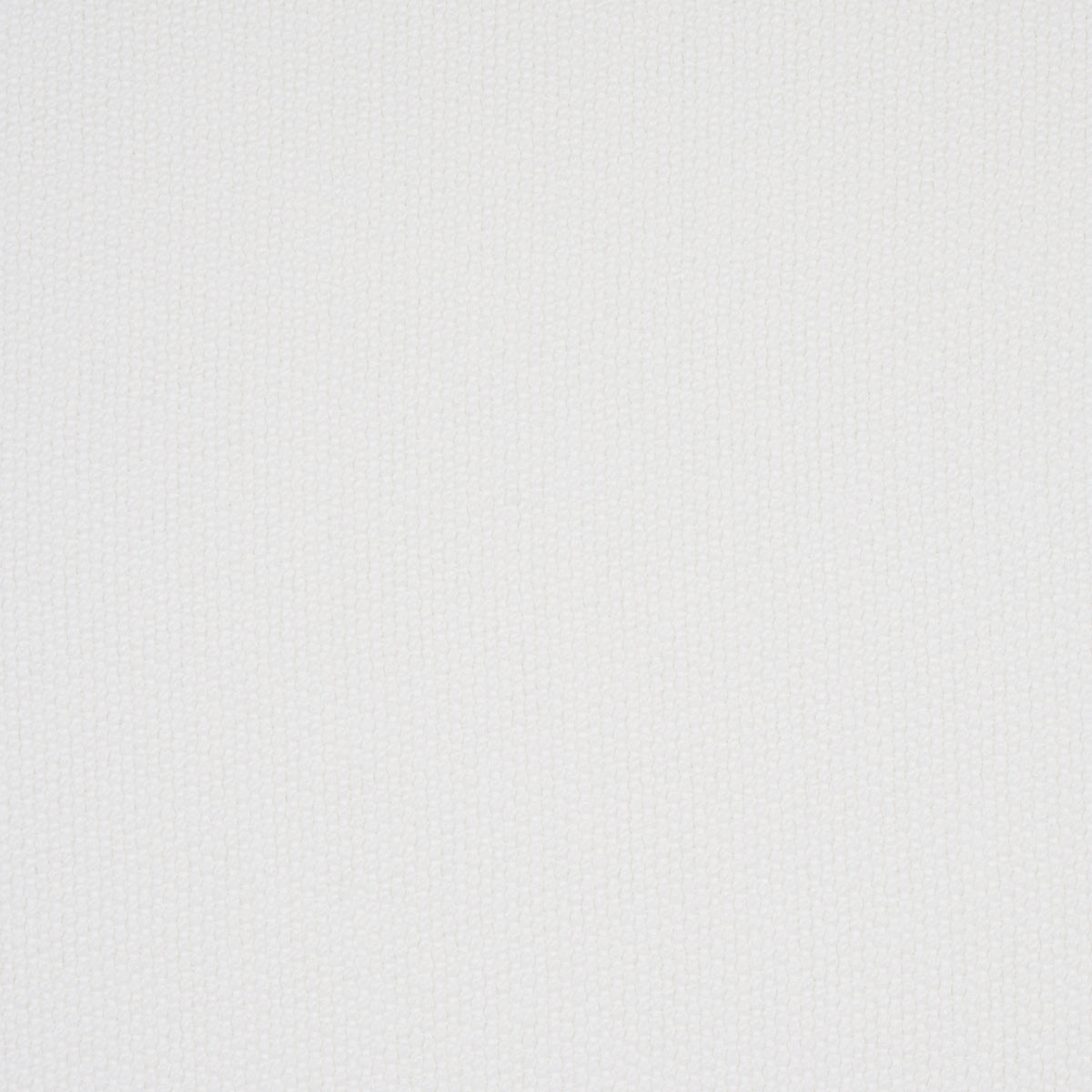 Purchase 81061 Scottie Indoor/Outdoor, White by Schumacher Fabric