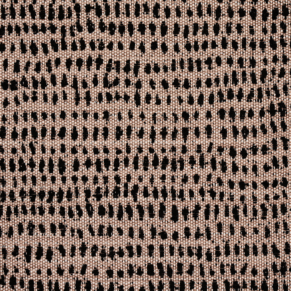 Purchase 81091 Oscar Indoor/Outdoor, Noir by Schumacher Fabric