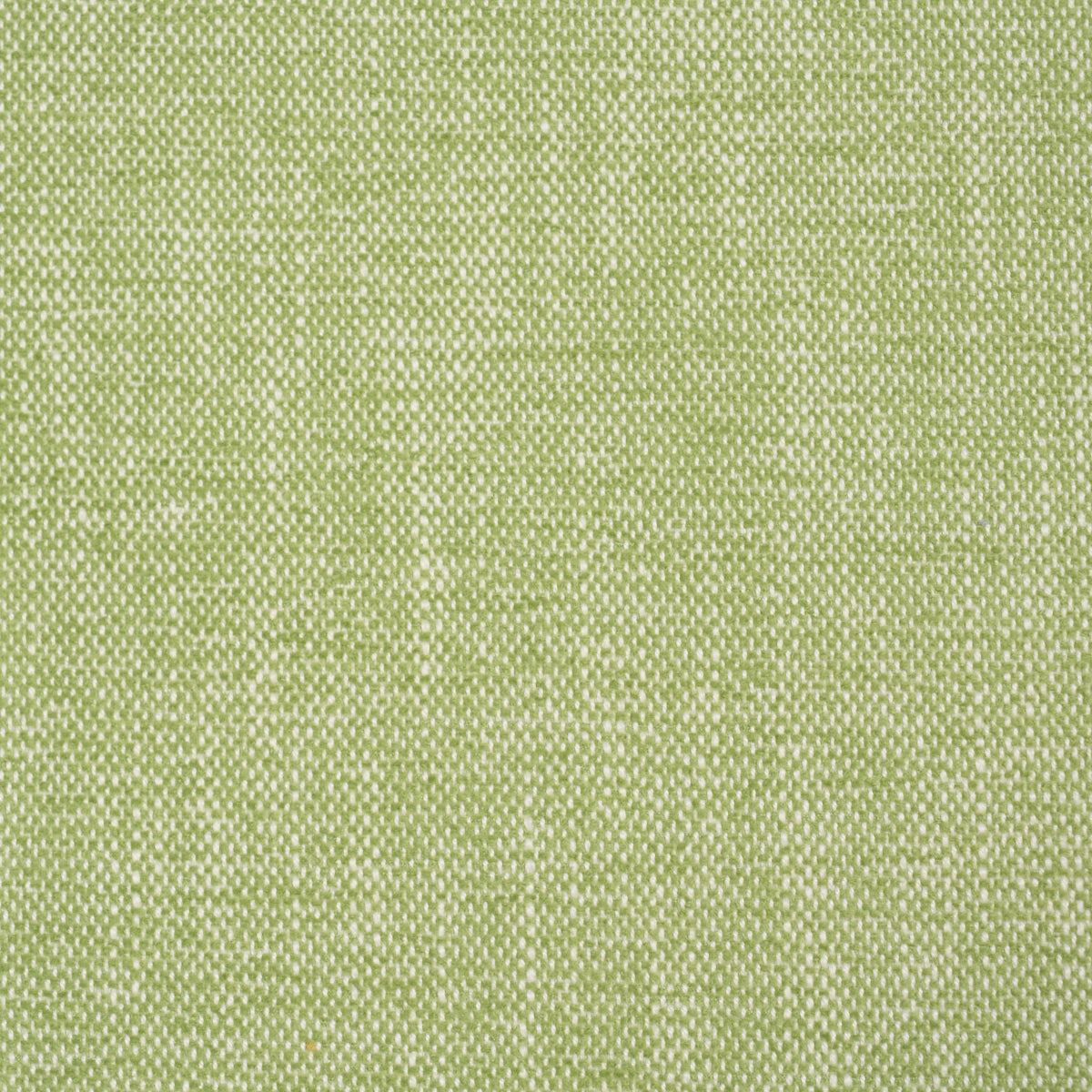 Purchase 81129 | Dean Indoor/Outdoor, Grass - Schumacher Fabric