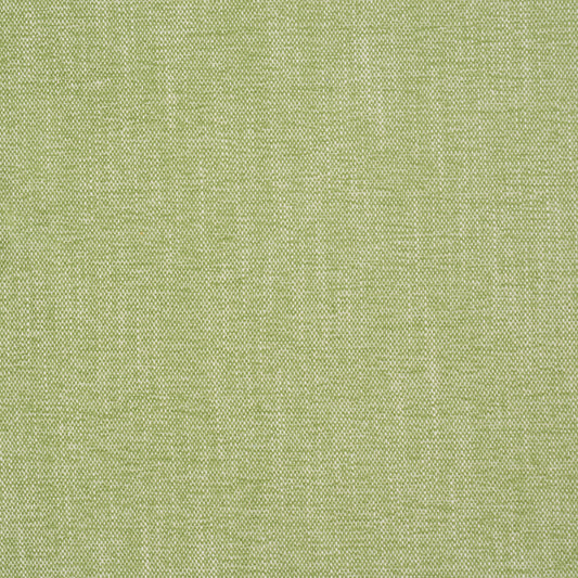 Purchase 81129 | Dean Indoor/Outdoor, Grass - Schumacher Fabric