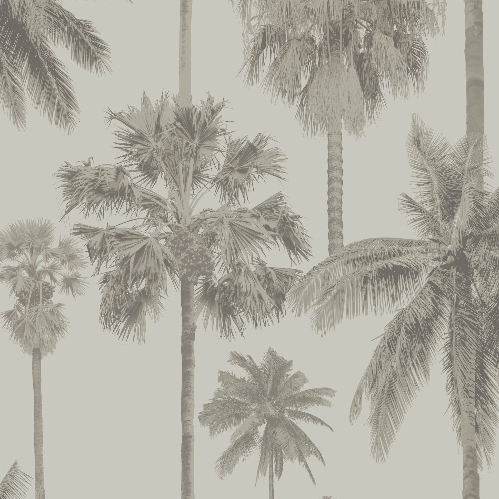 Purchase JF Wallpaper Pattern 8180 92W9091 