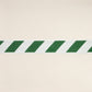 Purchase 82422 | Airmail I Indoor/Outdoor Tape, Green And Ivory - Schumacher Trim
