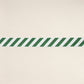 Purchase 82432 | Airmail Ii Indoor/Outdoor Tape, Green And Ivory - Schumacher Trim