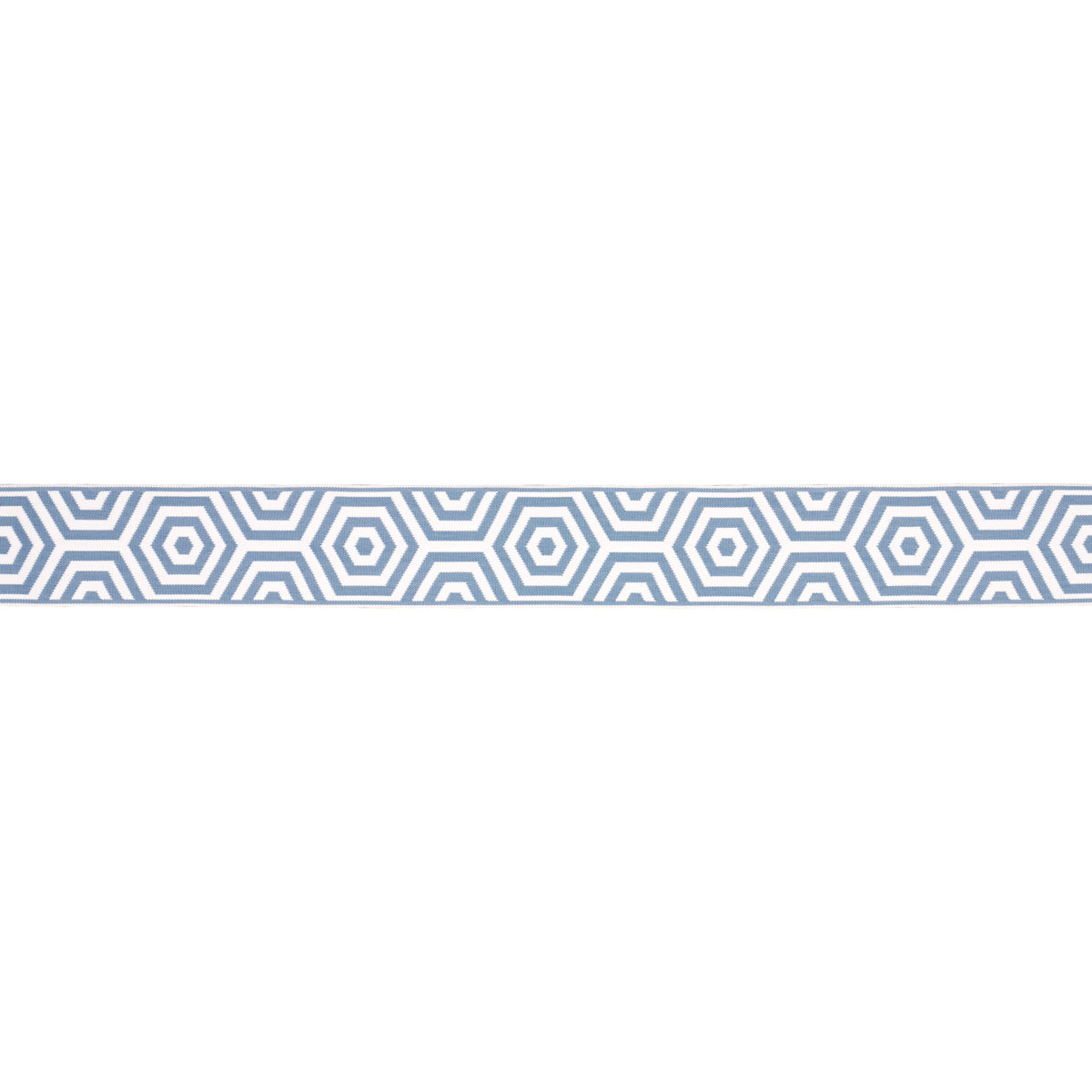 Purchase 82453 | Bees Knees Indoor/Outdoor Tape, Sky - Schumacher Trim