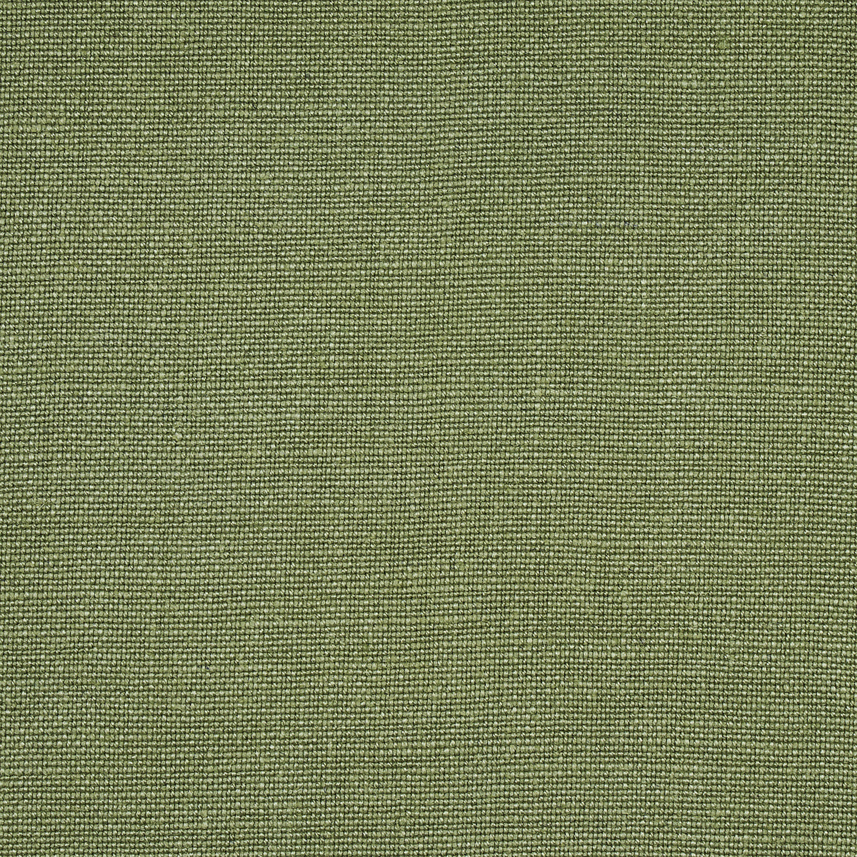 Purchase 82597 | Bouquet Toss, Moss - Schumacher Fabric