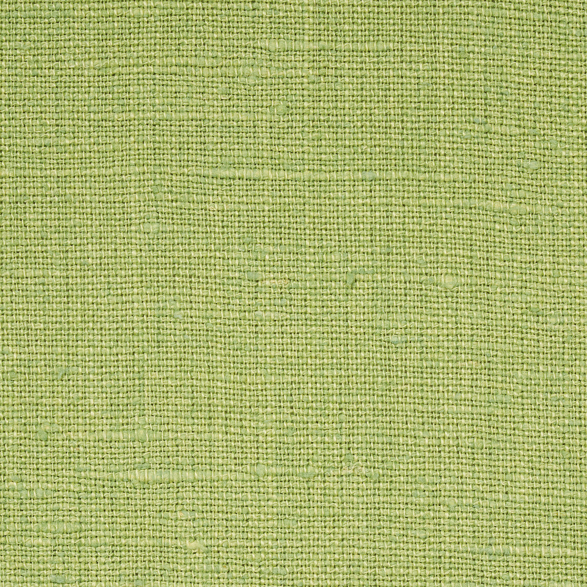 Purchase 82620 | Bouquet Toss, Leaf - Schumacher Fabric