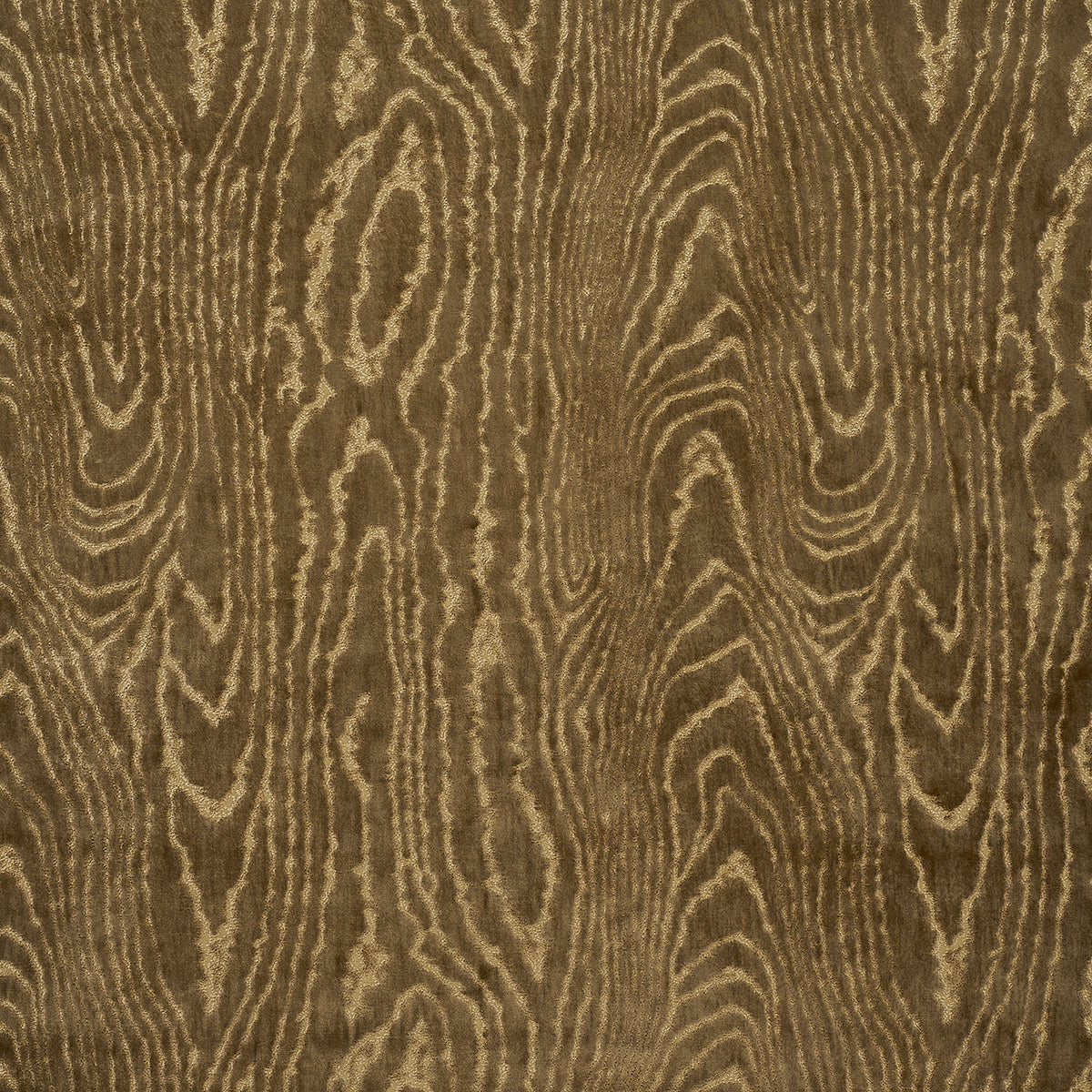 Purchase 82750 | Marisa Moire Velvet, Camel - Schumacher Fabric