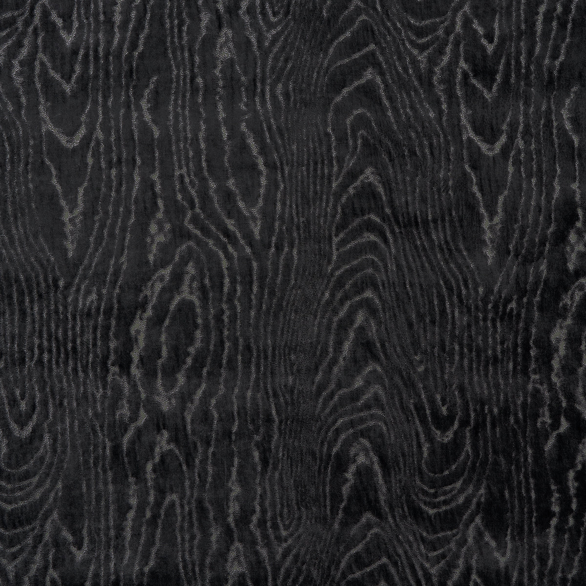 Purchase 82751 Marisa Moire Velvet, Smoke by Schumacher Fabric