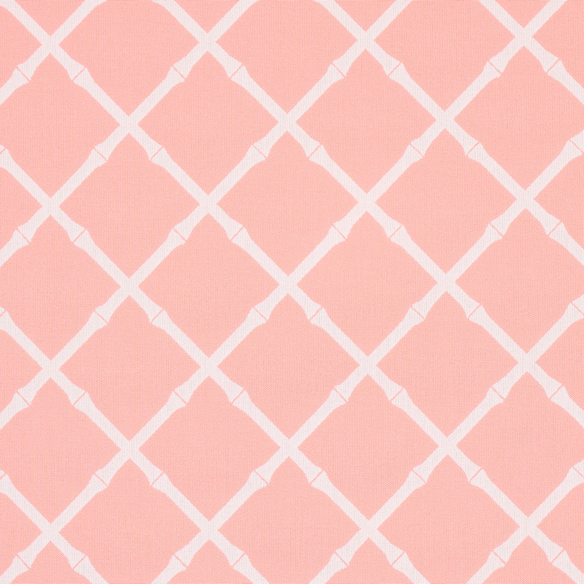 Purchase 82761 | Bouquet Toss, Pink - Schumacher Fabric