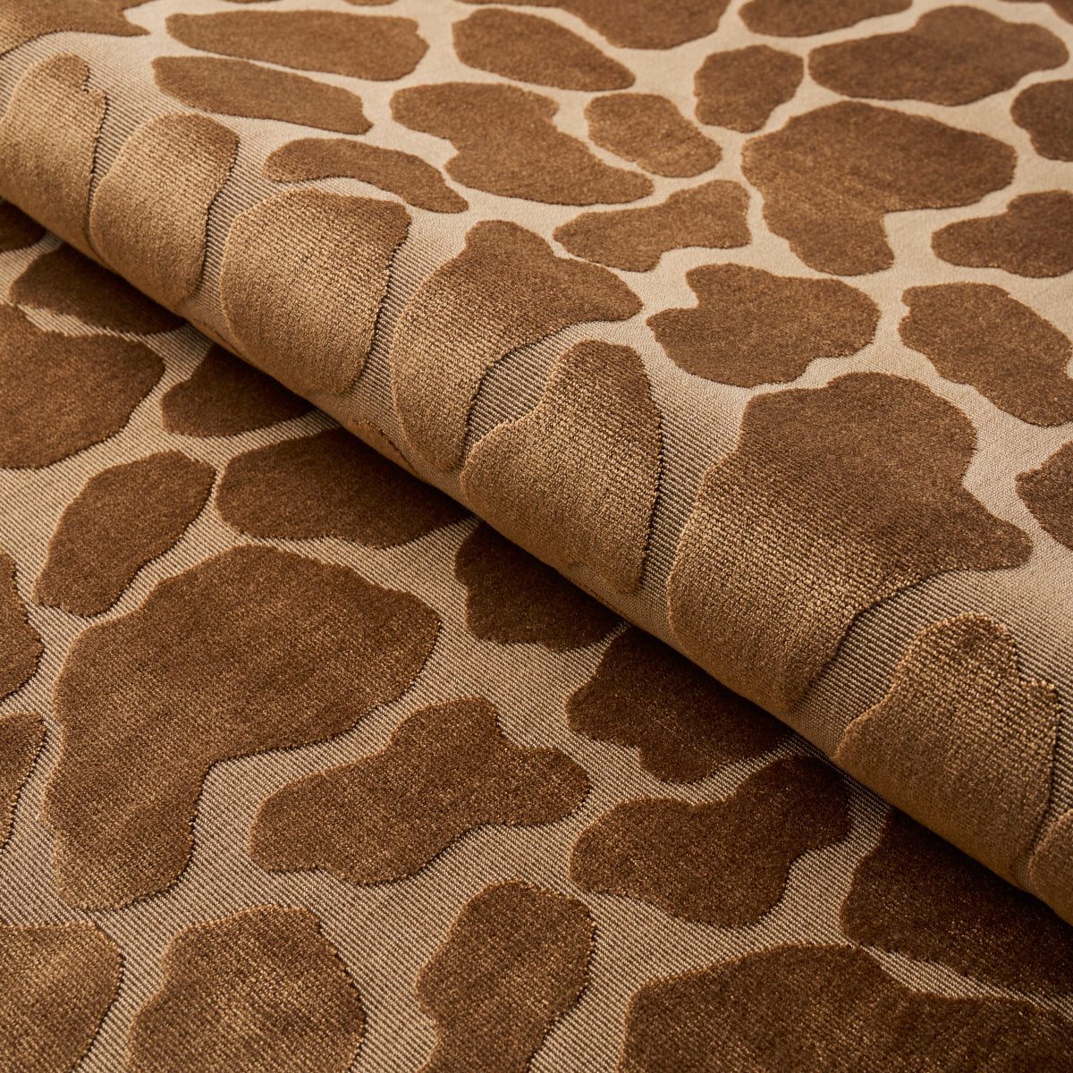 Purchase 82970 Giraffe Velvet, Safari by Schumacher Fabric