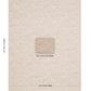 Purchase 83021 | Zambezi Velvet, Champagne - Schumacher Fabric