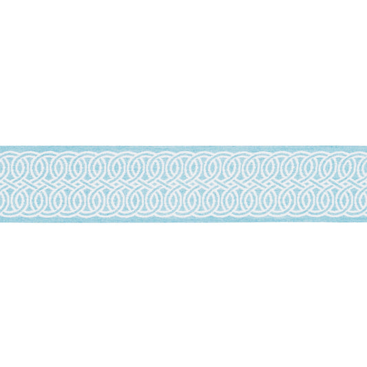 Purchase 83543 | Infinito Indoor/Outdoor Trim, Sky - Schumacher Trim