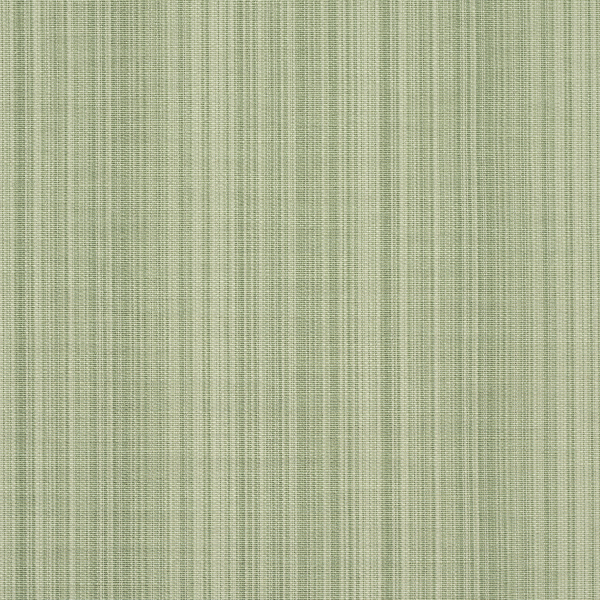 Purchase 83720 | Gracie Solid Strie, Leaf Green - Schumacher Fabric