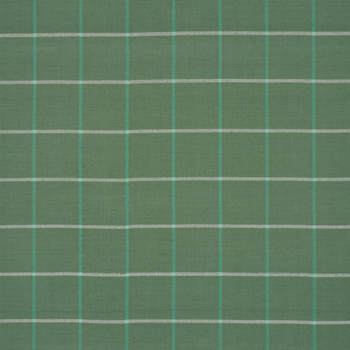 Purchase 83783 | Frannie Windowpane, Green - Schumacher Fabric
