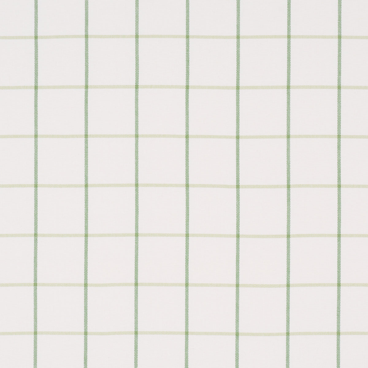 Purchase 83786 | Frannie Windowpane, Leaf Green - Schumacher Fabric